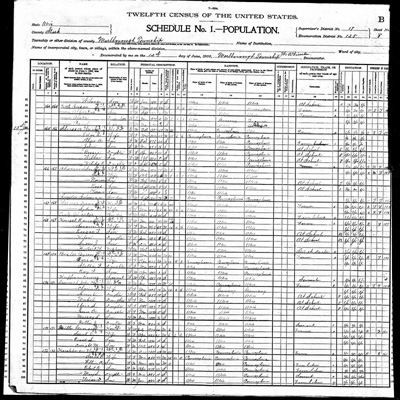 1900 Census: E. P. Hershberger - Part 1